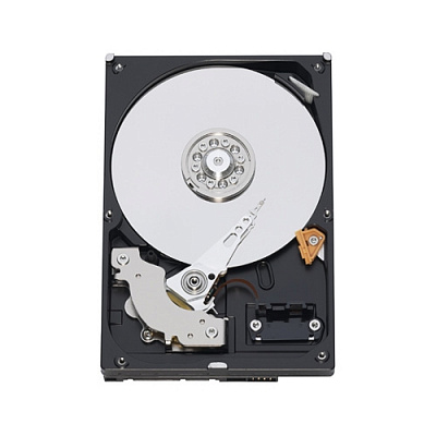Жесткий диск WD WD2500AAKS 250Гб #3 – фото