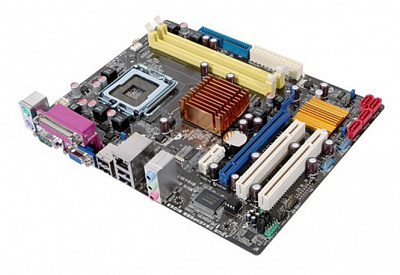 Материнская плата ASUS P5QPL-AM – фото