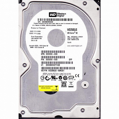 Жесткий диск WD WD2500JS 250Гб #1 – фото