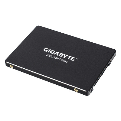 Накопитель SSD GIGABYTE GP-GSTFS31240GNTD 240Гб #1 – фото