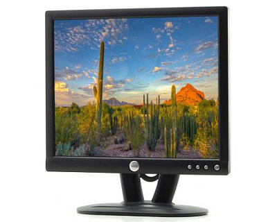 Монитор DELL E173FP – фото