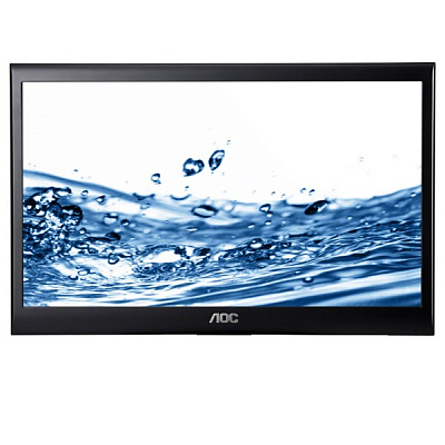 Монитор AOC E950SWDA (Уценка) – фото