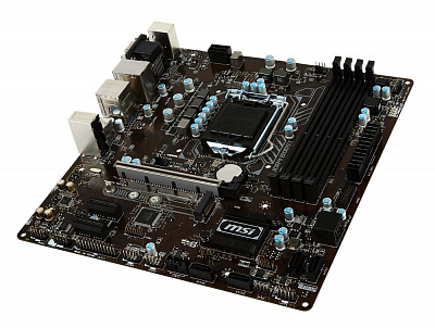Материнская плата MSI B250M PRO-VDH – фото