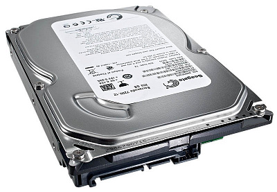 Жесткий диск SEAGATE ST3250318AS 250Гб (Новый) – фото