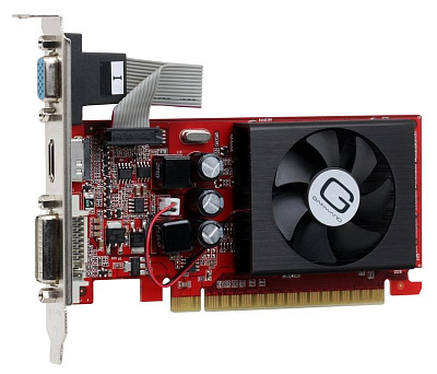 Видеокарта GAINWARD GEFORCE GT520 1Гб – фото