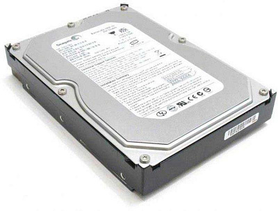 Жесткий диск SEAGATE ST3250410AS 250Гб (Новый) – фото