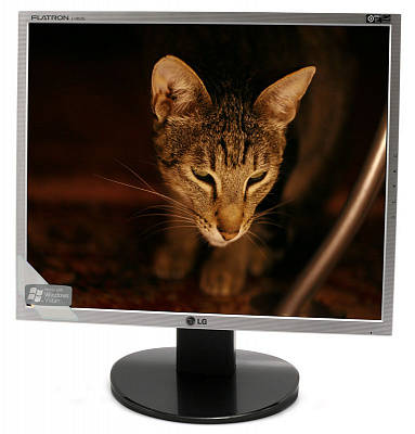 Монитор LG FLATRON L1953S-SF – фото