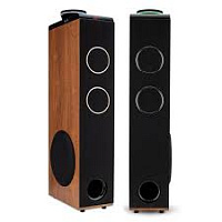 Акустическая система ELTRONIC 30-49 HOME SOUND +микрофон, пульт – фото