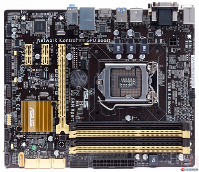 Материнская плата ASUS B85M-G – фото