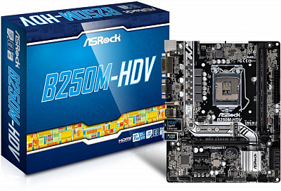 Материнская плата ASROCK B250M-HDV (Новая) – фото