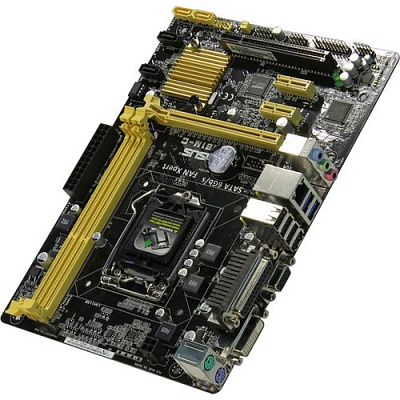 Материнская плата ASUS H81M-C – фото