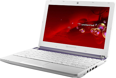 Нетбук PACKARD BELL DOTS-C-261G32NUW – фото